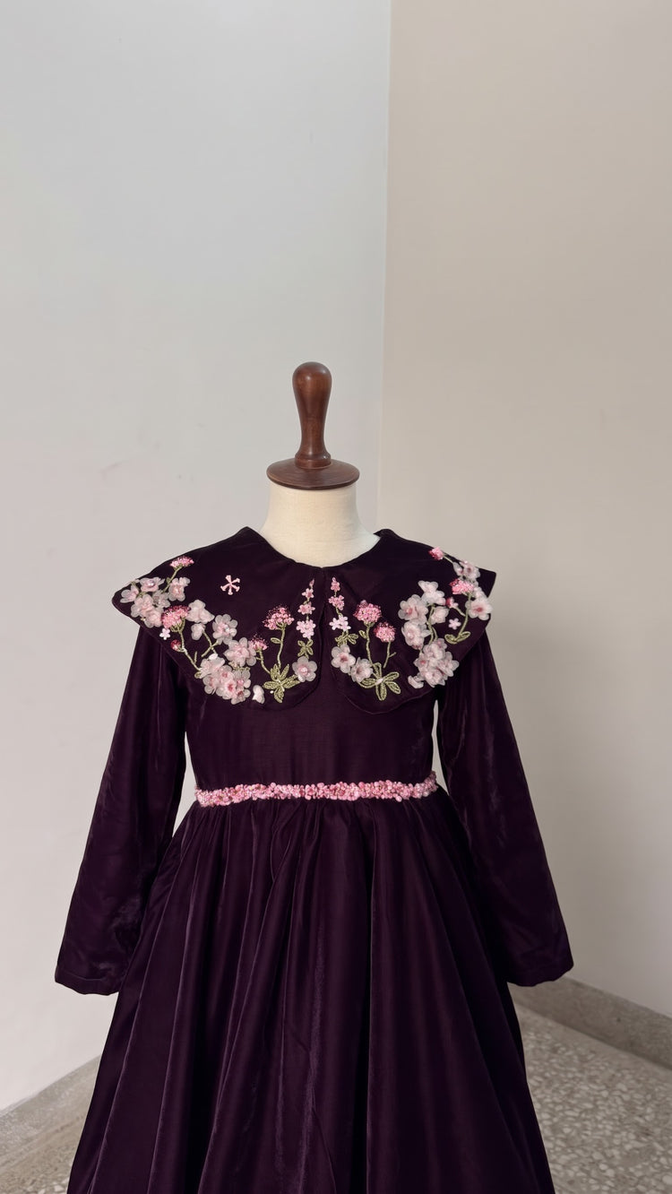Velvetty Plum orchid garden
