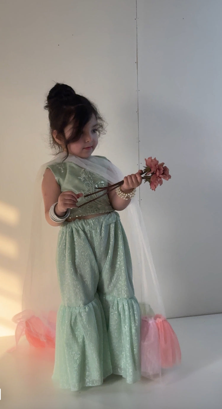 Sitara gharara pistachio 4-8yr