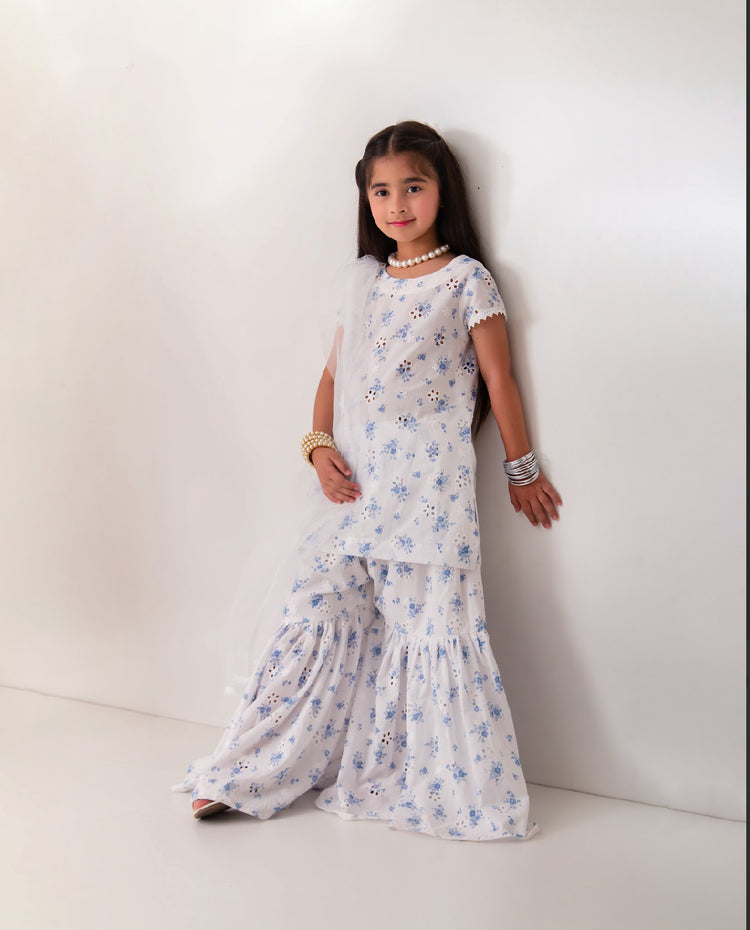 Brunera chikankari gharara set
