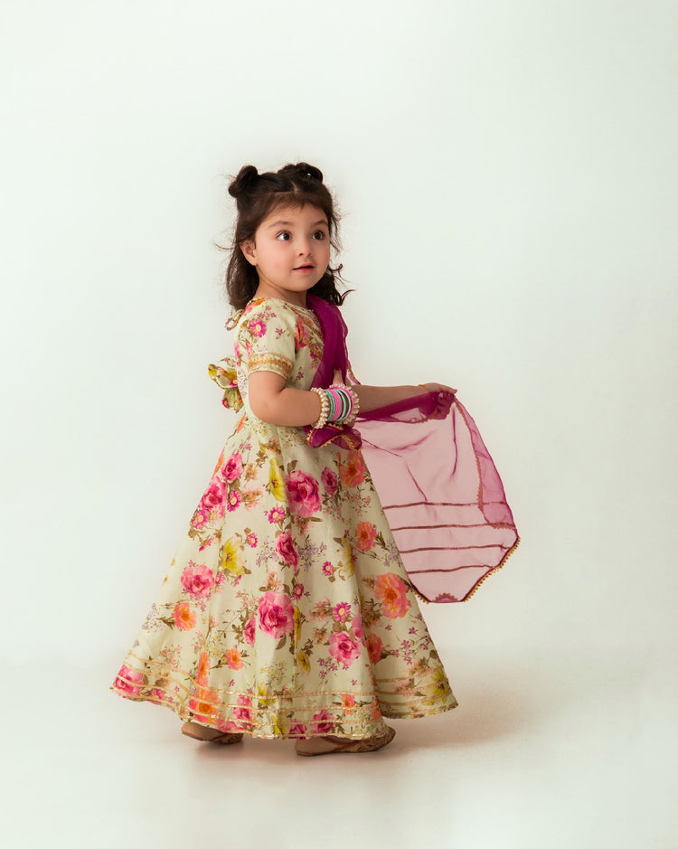 Bagh e gul long dress
