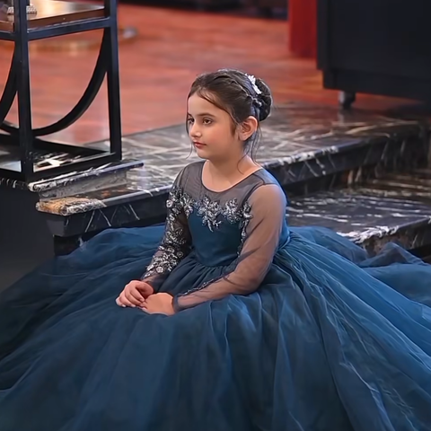 The Meerab Blue gown