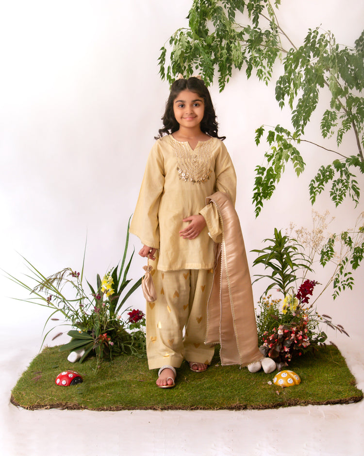 The Hearts farshi shalwar set (beige) eac26