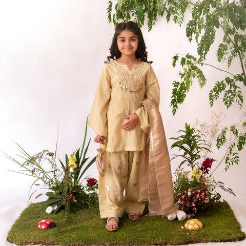 The Hearts farshi shalwar set (beige) eac26