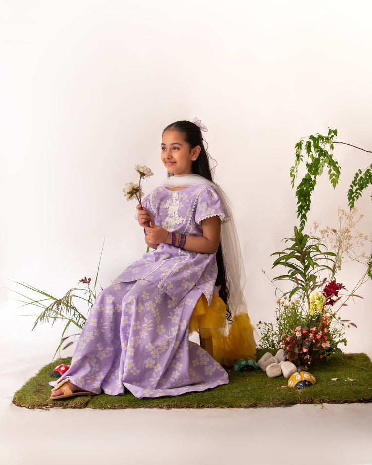 Lilac Daisy set eac26
