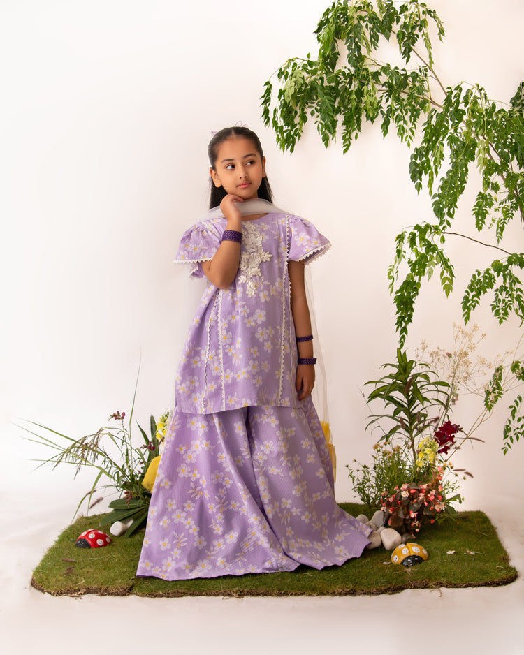 Lilac Daisy set eac26