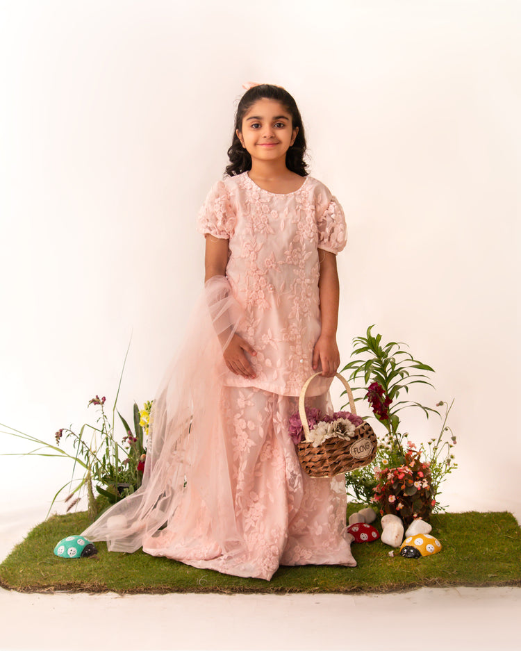 Peach Chintelle Lace Gharara Set eac26