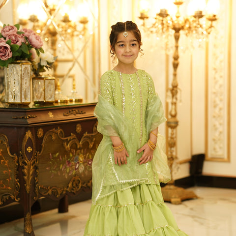 Rang e Nau Gharara set pistachio