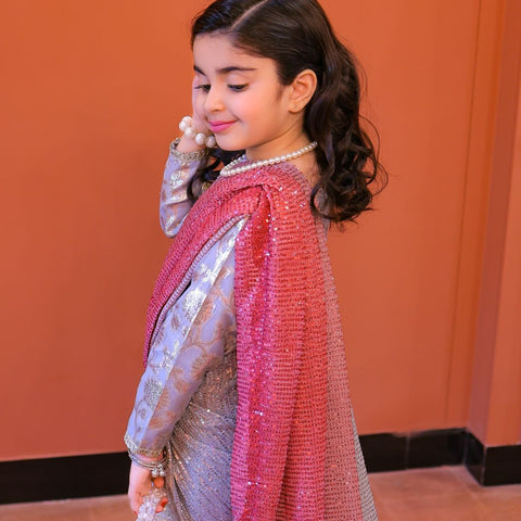 The Tabasum multitoned saree set(baige and red)