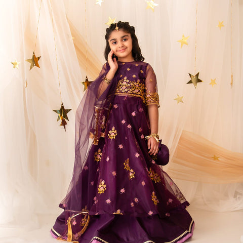 Namal lehnga set (plum) ec26