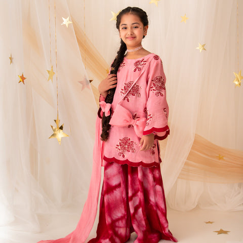 Gul-e-Marjan Plazo Set ec26