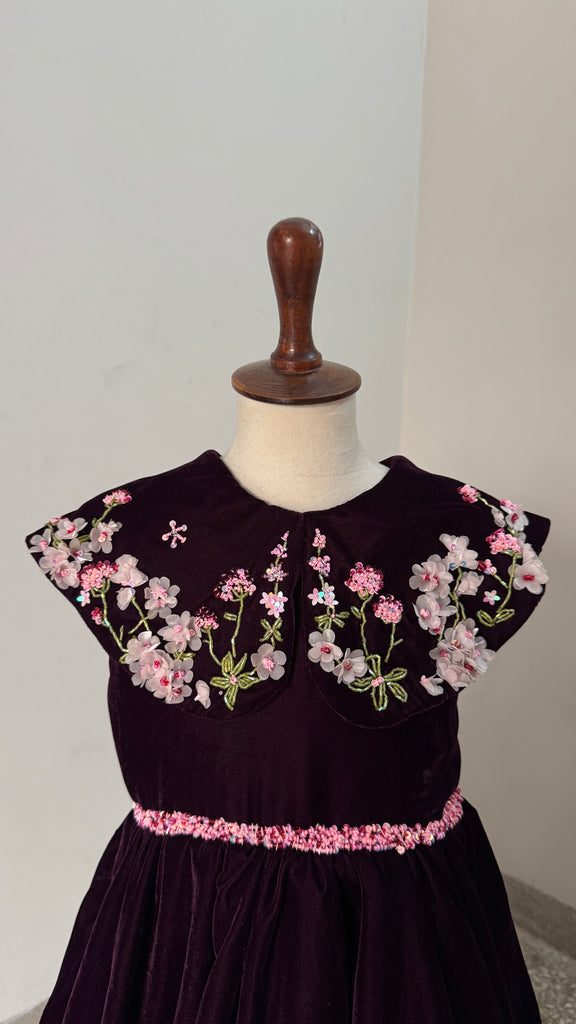 Plum orchid garden