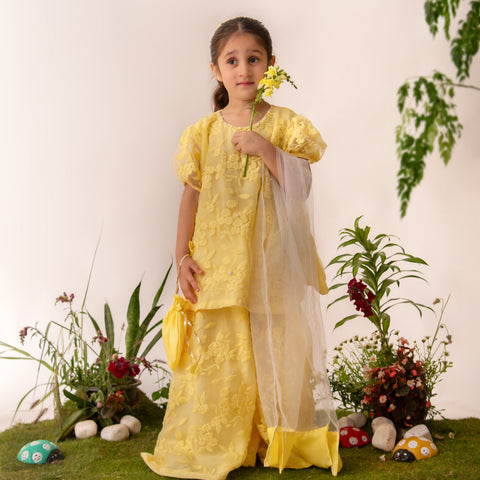 Lemon Chantille lace gharara set eac26