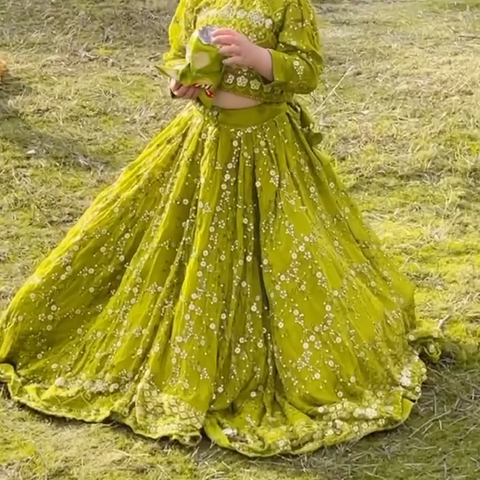 Rang o Aftab lehnga set green