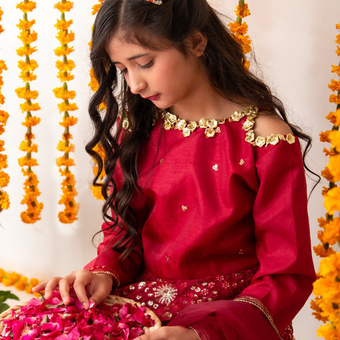 Mehrunissa lehnga