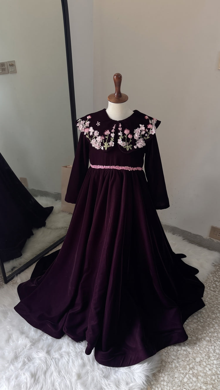 Velvetty Plum orchid garden