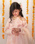 Roshnai lehnga