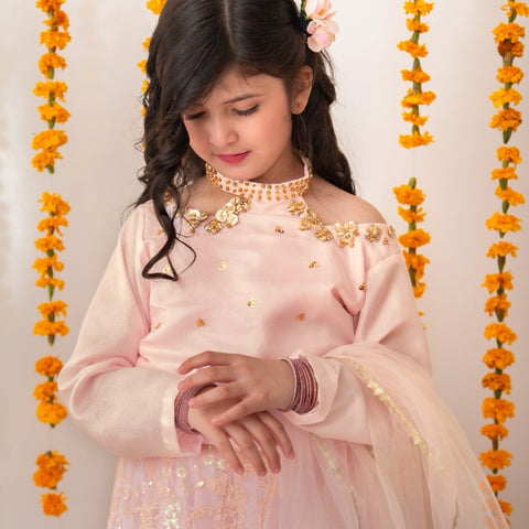 Roshnai lehnga