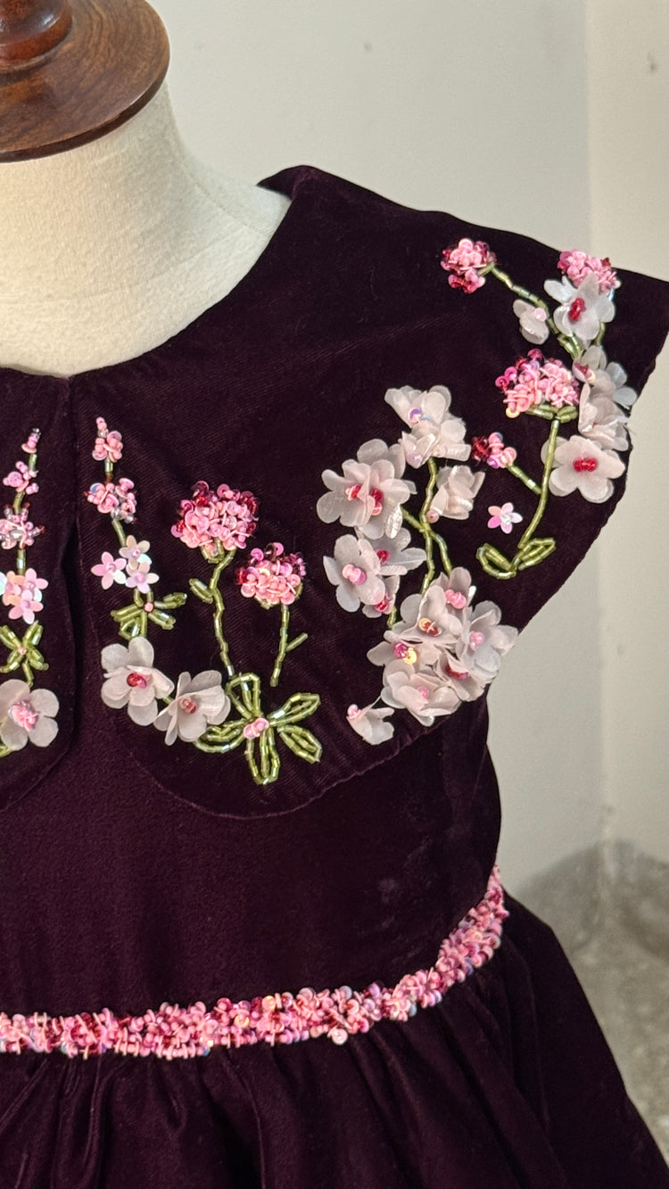 Plum orchid garden
