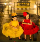 The Rose frock