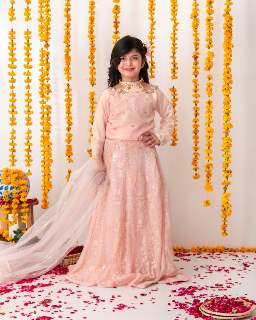 Roshnai lehnga