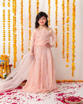 Roshnai lehnga