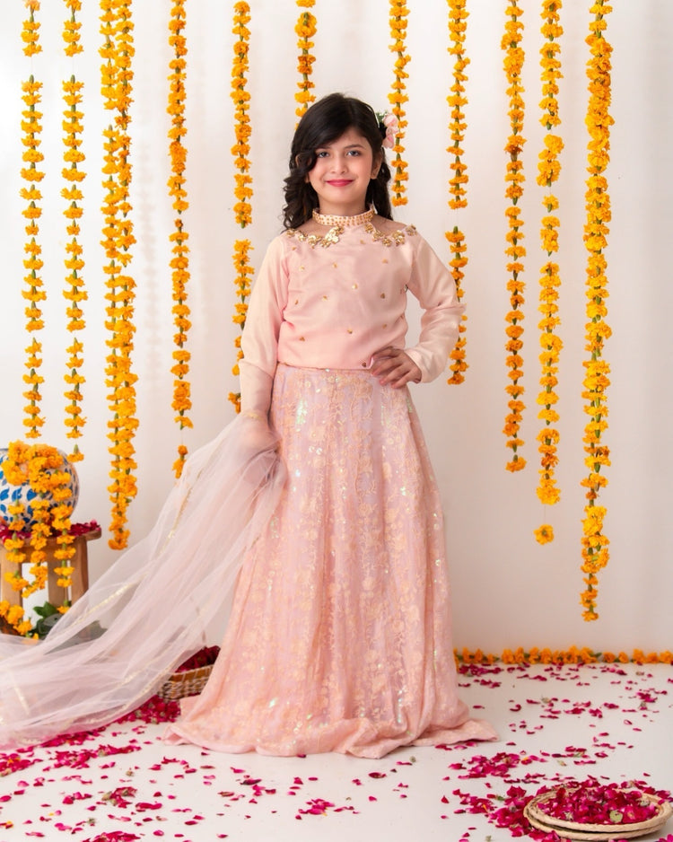 Roshnai lehnga