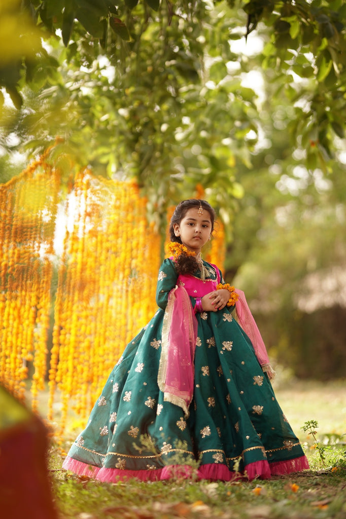 Anarkali Dress