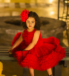 The Rose frock