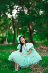 The Blue Sparkle Dress
