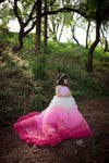 Zarpaash Pink Dress