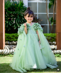 Hayat Briar Rose Dress (pistachio)