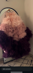 The Furry lilac
