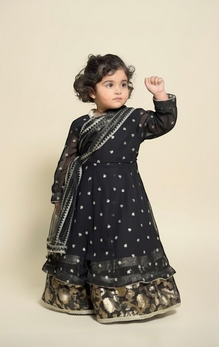 Zary's black lehnga ser