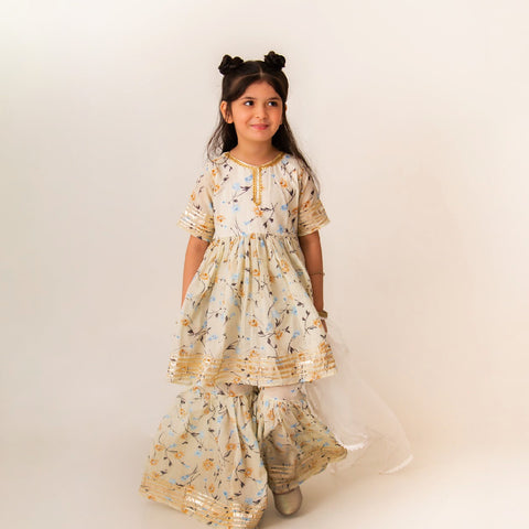 Humraz gharara set