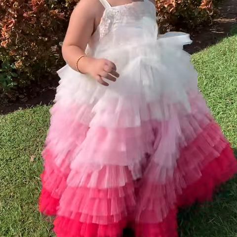 Zarpaash Pink Dress sale