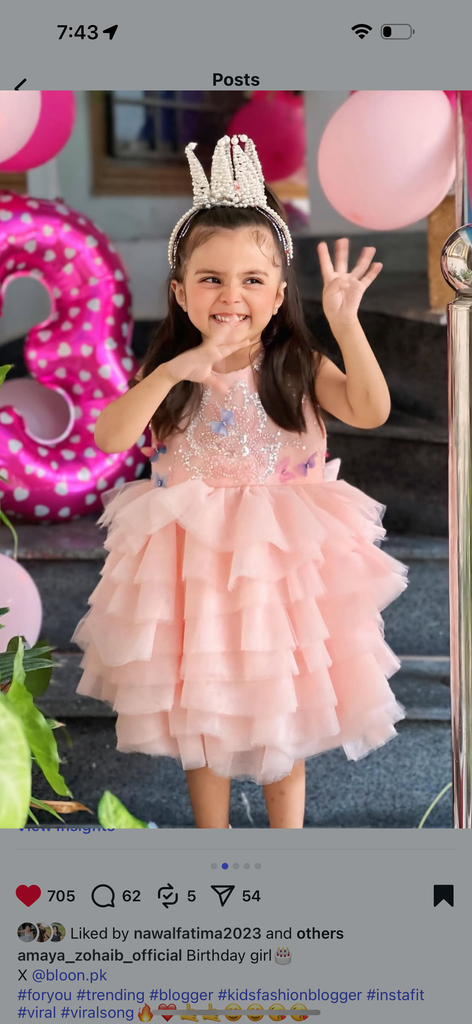 Cheena peach dress