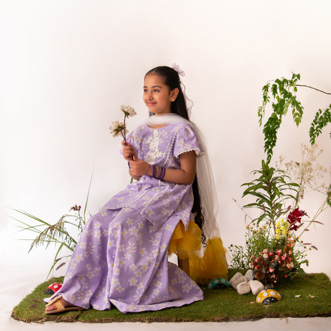 Lilac Daisy set eac26