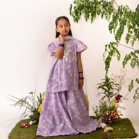 Lilac Daisy set eac26