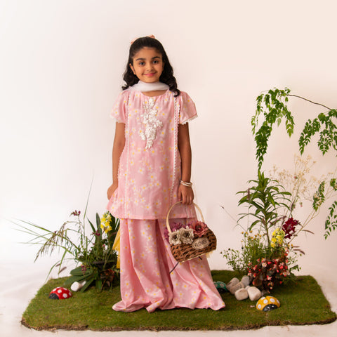 Peach Daisy set eac26