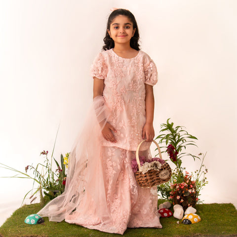 Peach Chintelle Lace Gharara Set eac26