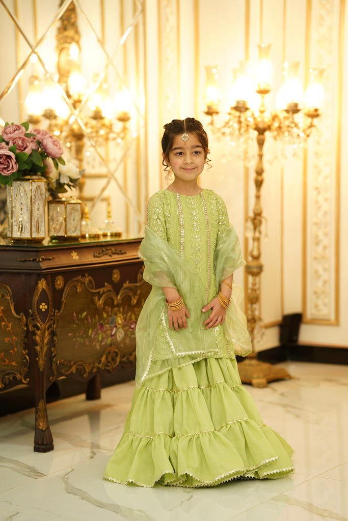 Rang e Nau Gharara set pistachio