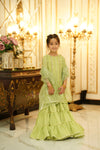 Rang e Nau Gharara set pistachio