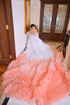 Hareem Long Peach Dress