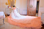 Hareem Long Peach Dress