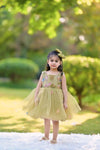 Pistachio flora winx frock