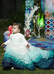Zarpaash blue Dress