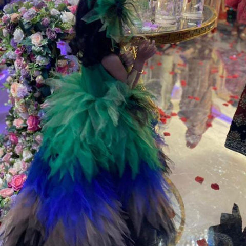 THE PEACOCK DRESS