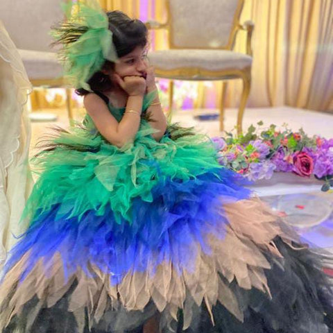 THE PEACOCK DRESS