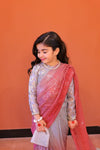 The Tabasum multitoned saree set(baige and red)