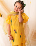 Dehleez set (yellow) ec26